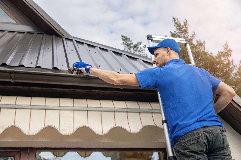 Gutter Repair Technicians